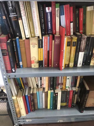 Gran lote de 300 libros en castellano buen estado 