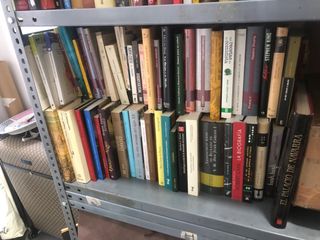 Gran lote de 300 libros en castellano buen estado 