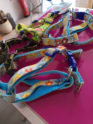 4 arneses para perro