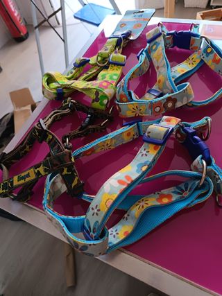 4 arneses para perro