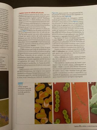 invito alla biologia azzurro 