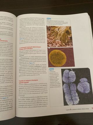 invito alla biologia azzurro 