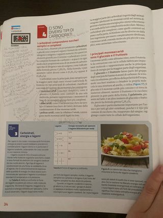 invito alla biologia azzurro 