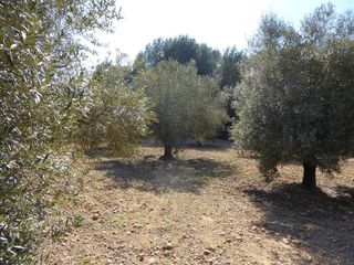 Terreno en venta en Alcalà de Xivert pueblo en Alcalà de Xivert