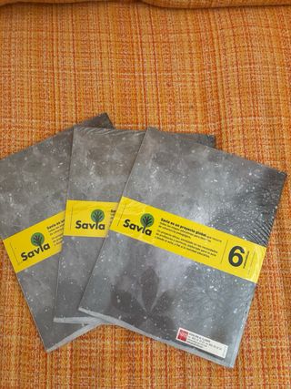 Matemáticas. 6 Primaria. Savia. Andalucía