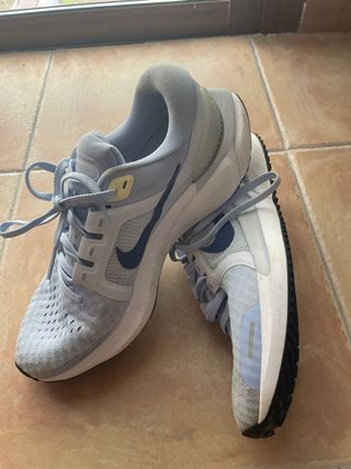 Zapatillas Nike Pegasus 37.5