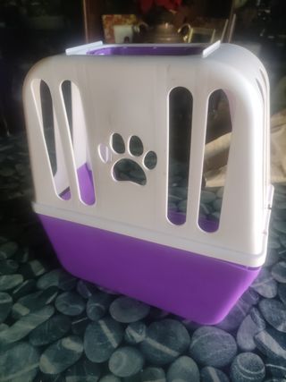 Comedor casita gatos moose