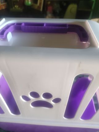 Comedor casita gatos moose