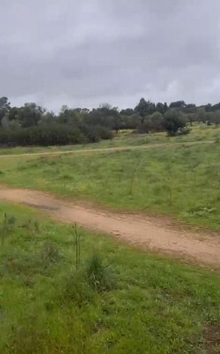 Terreno en venta en San Martín de Valdeiglesias