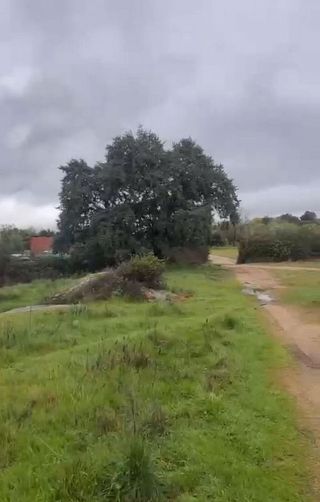 Terreno en venta en San Martín de Valdeiglesias