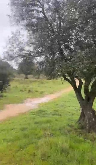 Terreno en venta en San Martín de Valdeiglesias