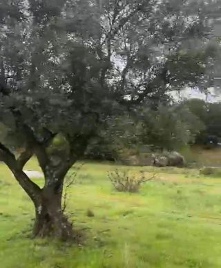 Terreno en venta en San Martín de Valdeiglesias