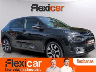 Citroën C4 Cactus PureTech 81KW (110CV) S&S Shine