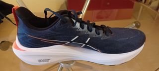 Zapatillas Asics GT-2000 13 - 44