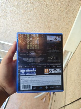 PS4 (PlayStation 4) Hogwarts Legacy