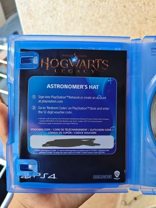 PS4 (PlayStation 4) Hogwarts Legacy