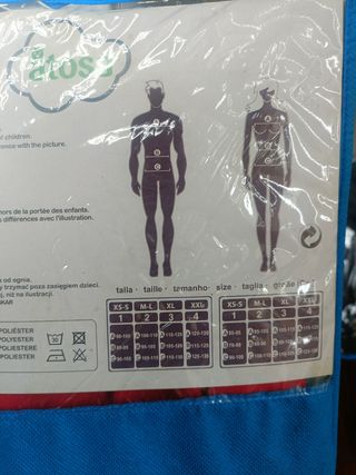 Disfraz de animadora