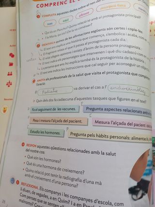 LLENGUA CATALANA 4 PRIMARIA CONSTRUINT MONS