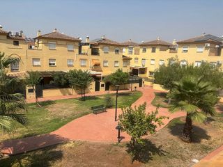 Casa pareada en alquiler en Zona Universitaria  en Bormujos