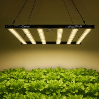 Lucius 720W 2.9 LED Cultivo - LM281B