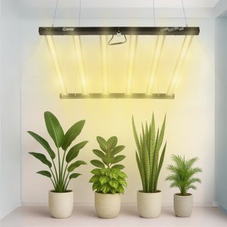 Lucius 720W 2.9 LED Cultivo - LM281B