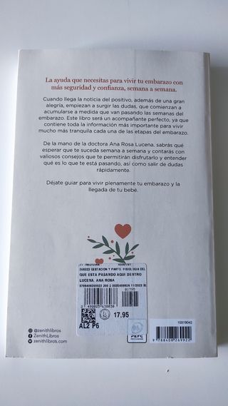 Qué está pasando aquí dentro: Una guía esencial...