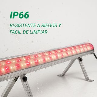 x2 Luz LED Cultivo Lucius 120W de refuerzo