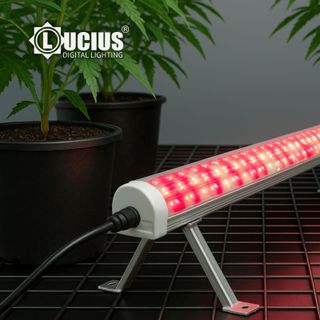 x2 Luz LED Cultivo Lucius 120W de refuerzo