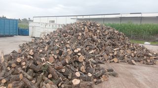 Leña de Oliva - 0.13€/kg