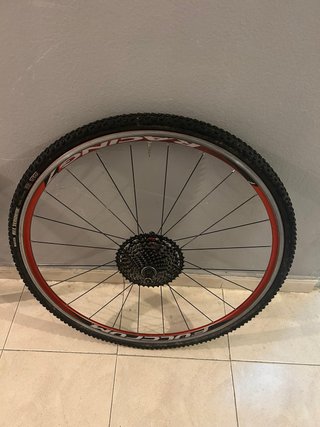 Bicicleta Focus CX roja