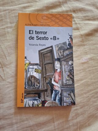 EL TERROR DE 6º B (Spanish Edition)