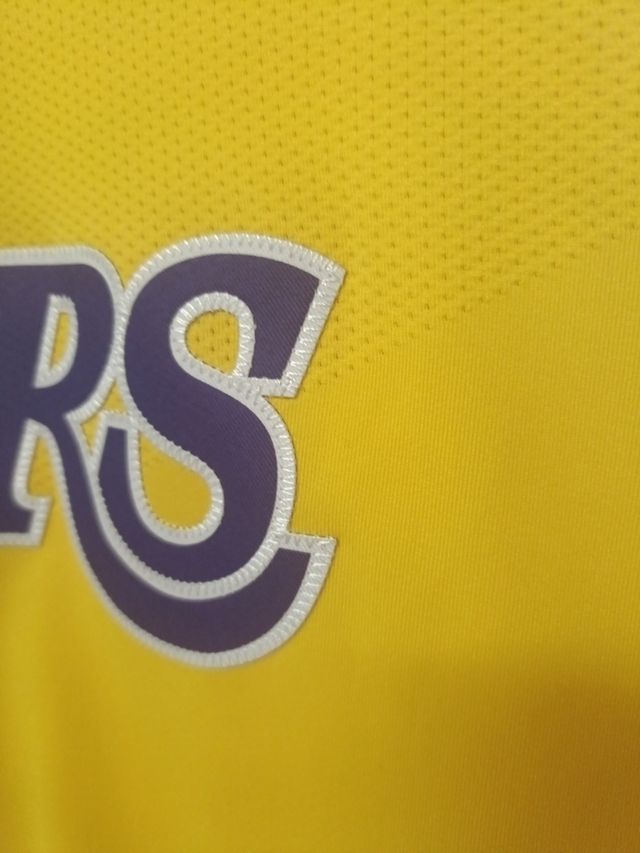 Camiseta Lakers LeBron James nº6 ICON EDITION