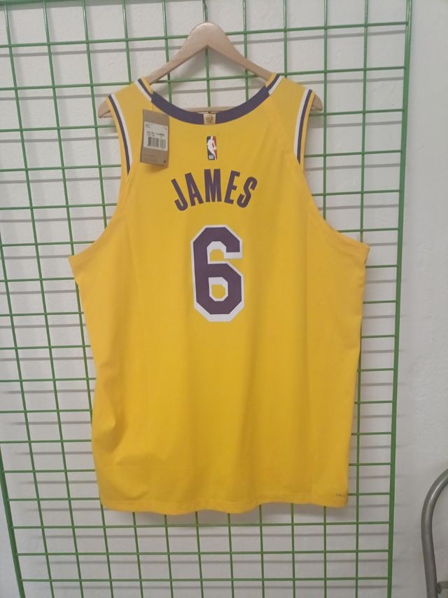 Camiseta Lakers LeBron James nº6 ICON EDITION