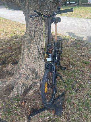 Bicicleta plegable B-Fold