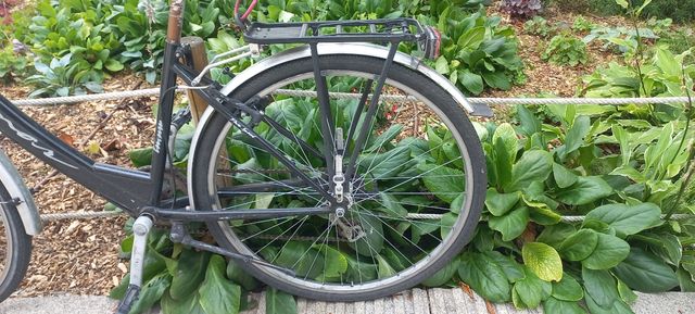 Bicicleta paseo o ciudad.