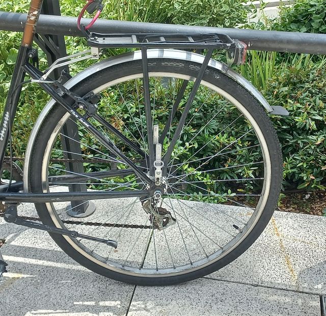 Bicicleta paseo o ciudad.