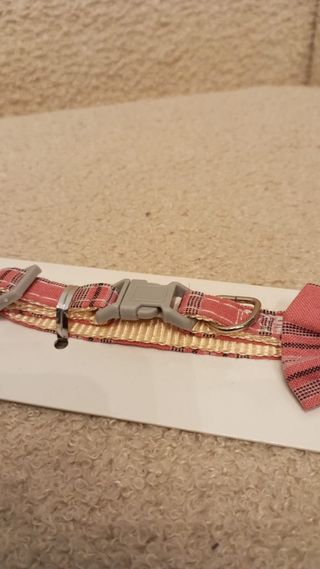 Coleira Gato - Nova c/ Laço