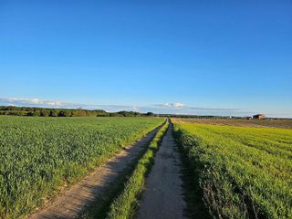 Terreno en venta en Tordesillas