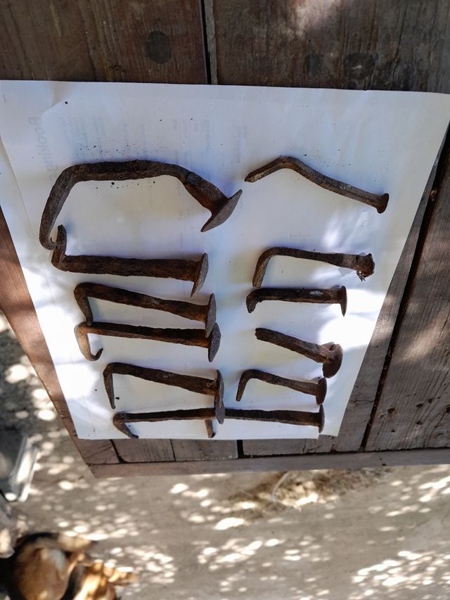 Clavos antiguos forjados - 12 uds