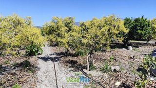 Chalet en venta en Motril pueblo en Motril