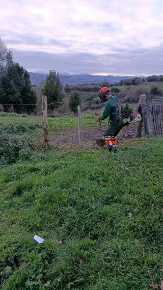 Experiencia en Jardineria y construcción