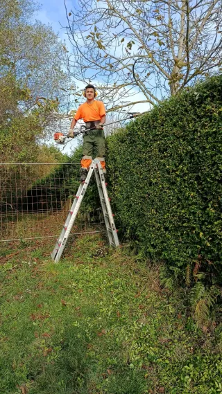 Experiencia en Jardineria y construcción