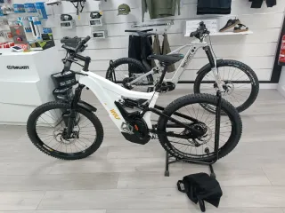 Ebike Bewatt Mountain Wolf - Bicicleta eléctrica