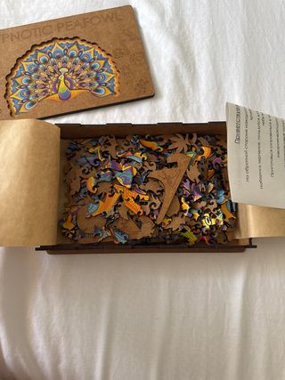 Puzzle Hypnotic Peafowl