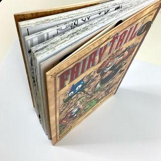 Manga Fairy Tail Vol.1