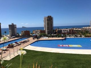 Piso en alquiler en Playa de Poniente en Benidorm