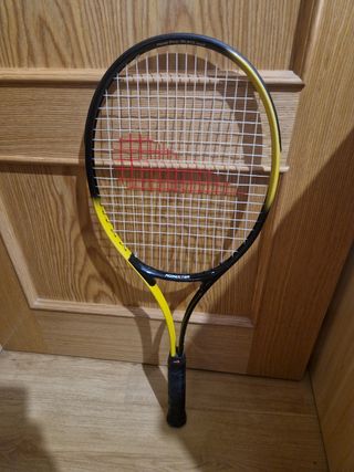 Raqueta Romester 95-613cm2