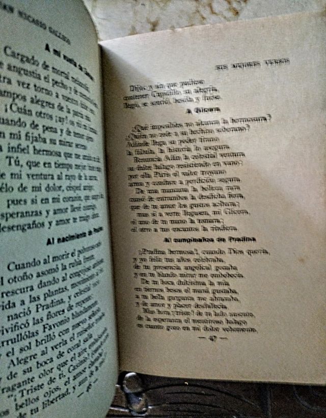 Libros Los Poetas (años 20)