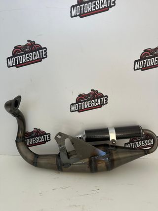 Escape Hebo para Peugeot con silenciador carbono