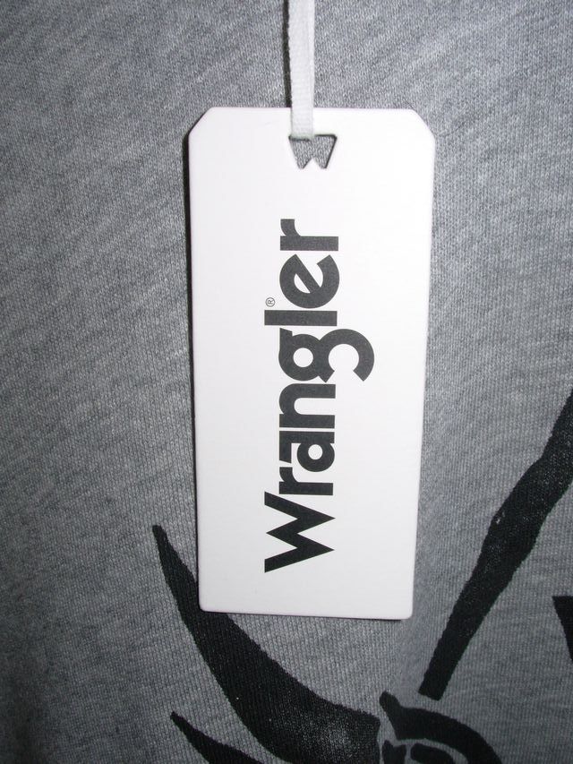 Felpa Wrangler grigia cotone